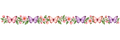 Border