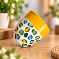 Hand-Painted Multicolor Spot Planting Pot