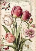 Rice Paper