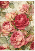 Rice Paper