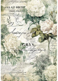 Rice Paper