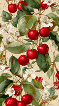 Rice Paper